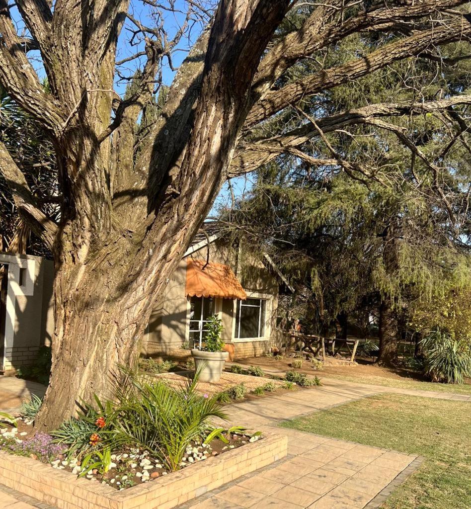 Silken Trap Accommodation No Loadshedding Johannesburg Kültér fotó